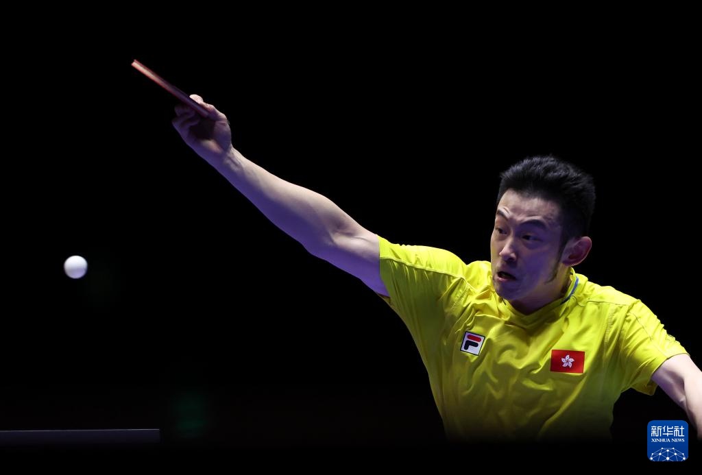 支持裁判的 支持裁判的