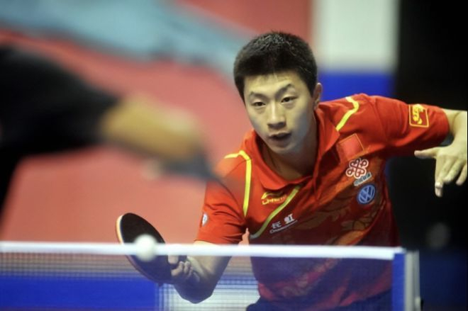 树立了一个 树立了一个