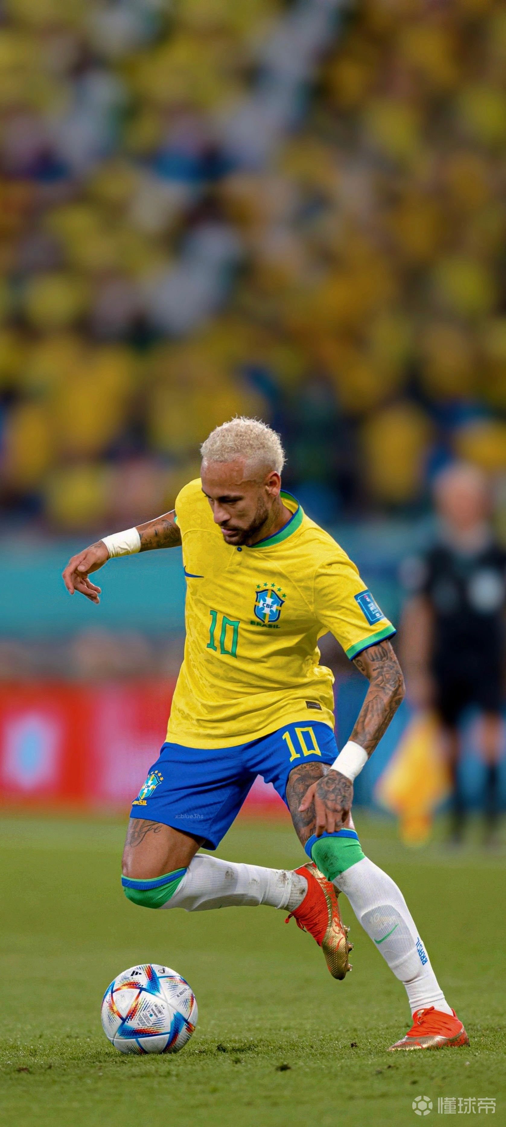 本职棒校园 本职棒校园